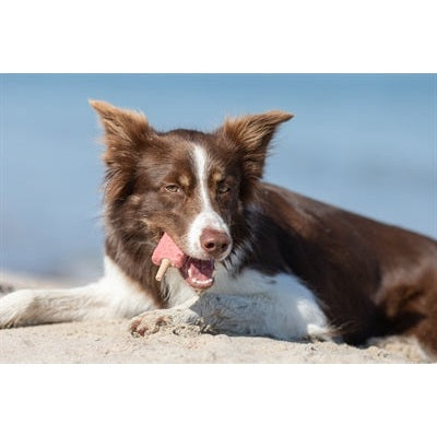 Trixie Ice Pop Groen