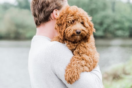 Een sterke band opbouwen met je Labradoodle