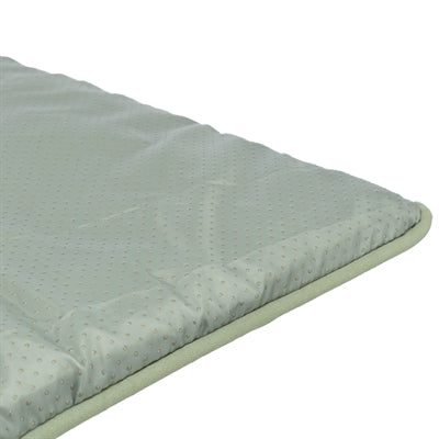 Trixie Ligmat Marley Saliegroen