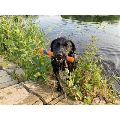 Chuckit Ultra Fetch Stick