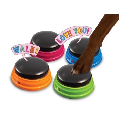 Hunger For Words Talking Pet Starter Set