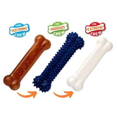 Nylabone Puppy Chew Puppy Starter Kit Chicken