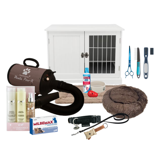 Greunsven Australian Labradoodle X MyDoodle Box