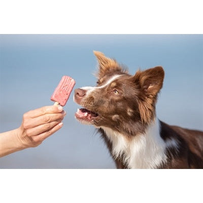 Trixie Ice Pop Groen